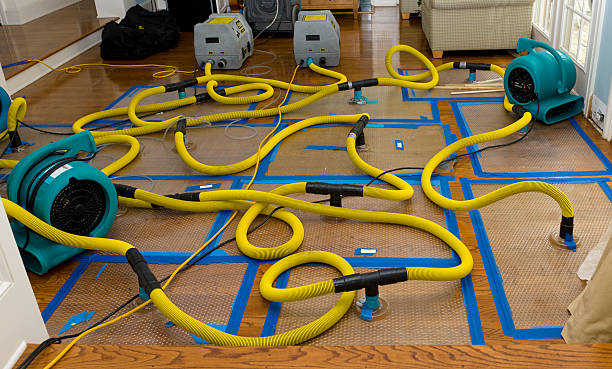 Professional Crawl Space Water Removal technician working in Brandon, WI